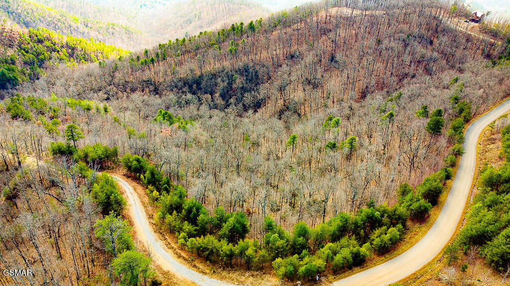 Sevierville, Tennessee, 37876, United States, ,Land,For Sale,2009102