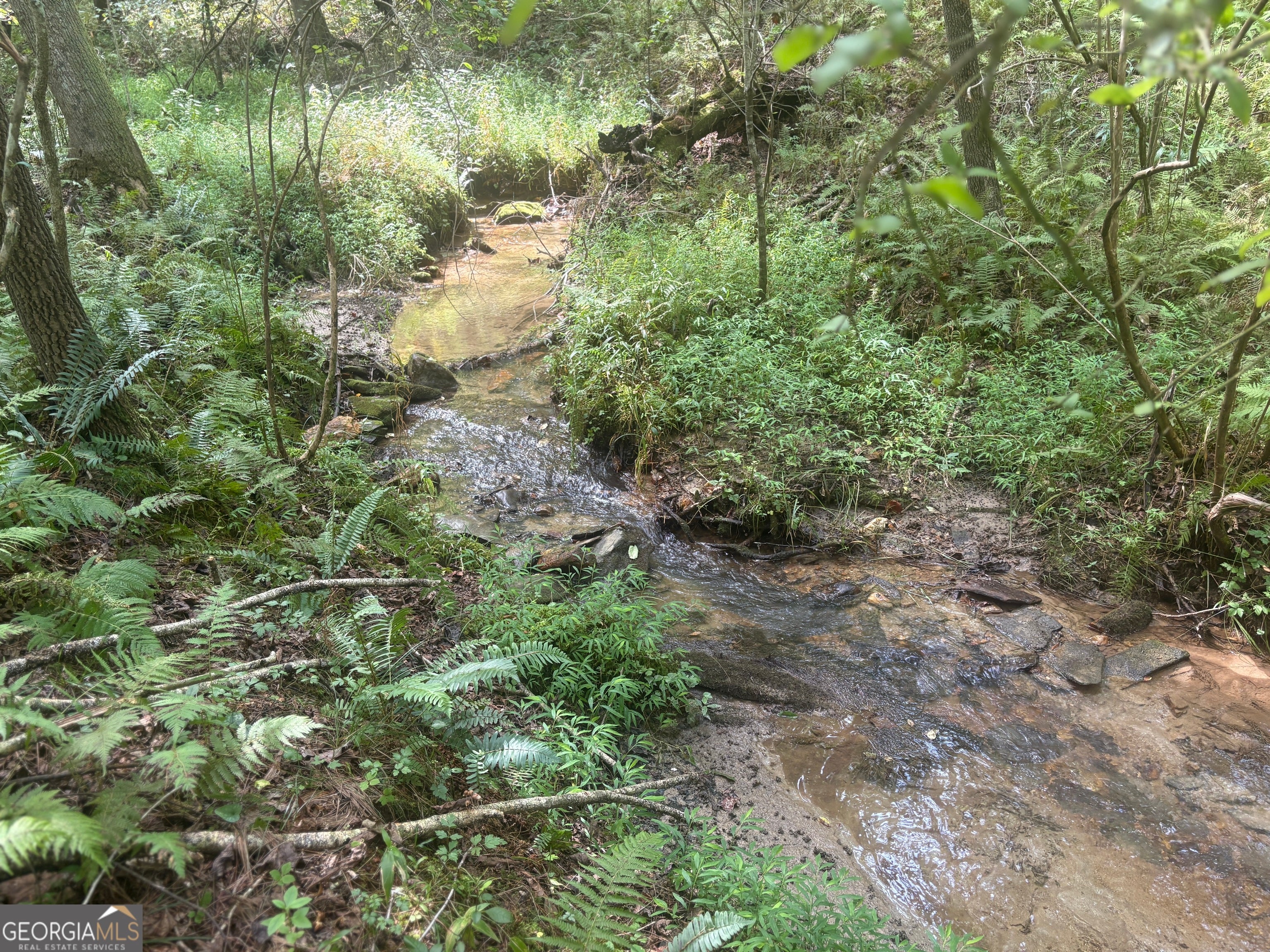 Blue Ridge, Georgia, 30513, United States, 4 Bedrooms Bedrooms, ,3 BathroomsBathrooms,Residential,For Sale,1919420