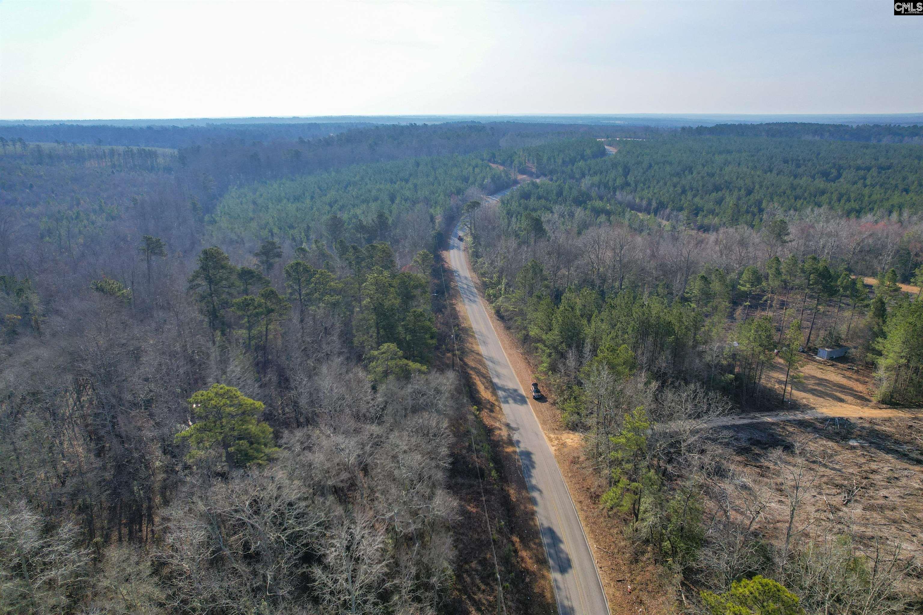 703 Neds Creek Road, Kershaw, South Carolina, 29067, United States, ,Land,For Sale,703 Neds Creek Road,1669372