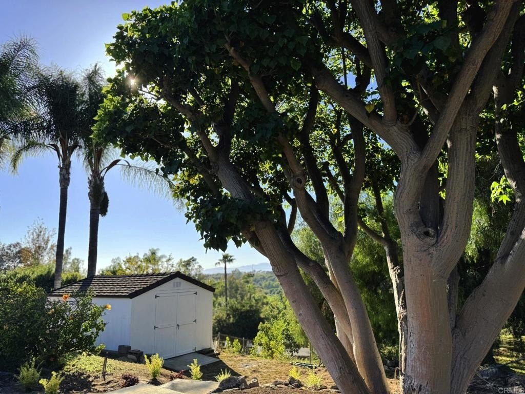 Fallbrook, California, 92028, United States, 3 Bedrooms Bedrooms, ,3 BathroomsBathrooms,Residential,For Sale,1828046