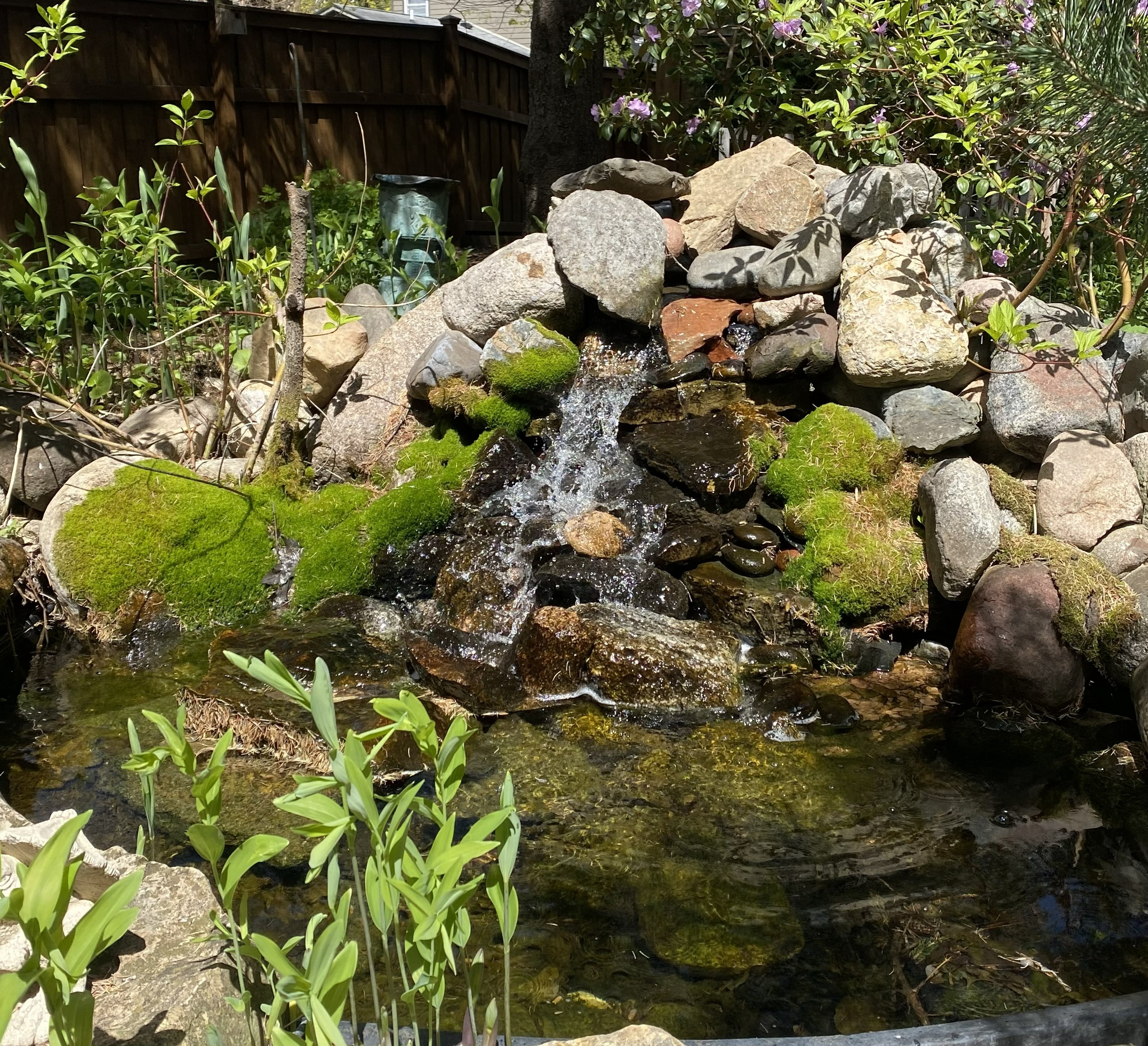  Golden Valley Gem Near Theodore Wirth Park - 物件實景