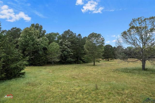 Carthage, Texas, 75633, United States, ,Land,For Sale,1826427