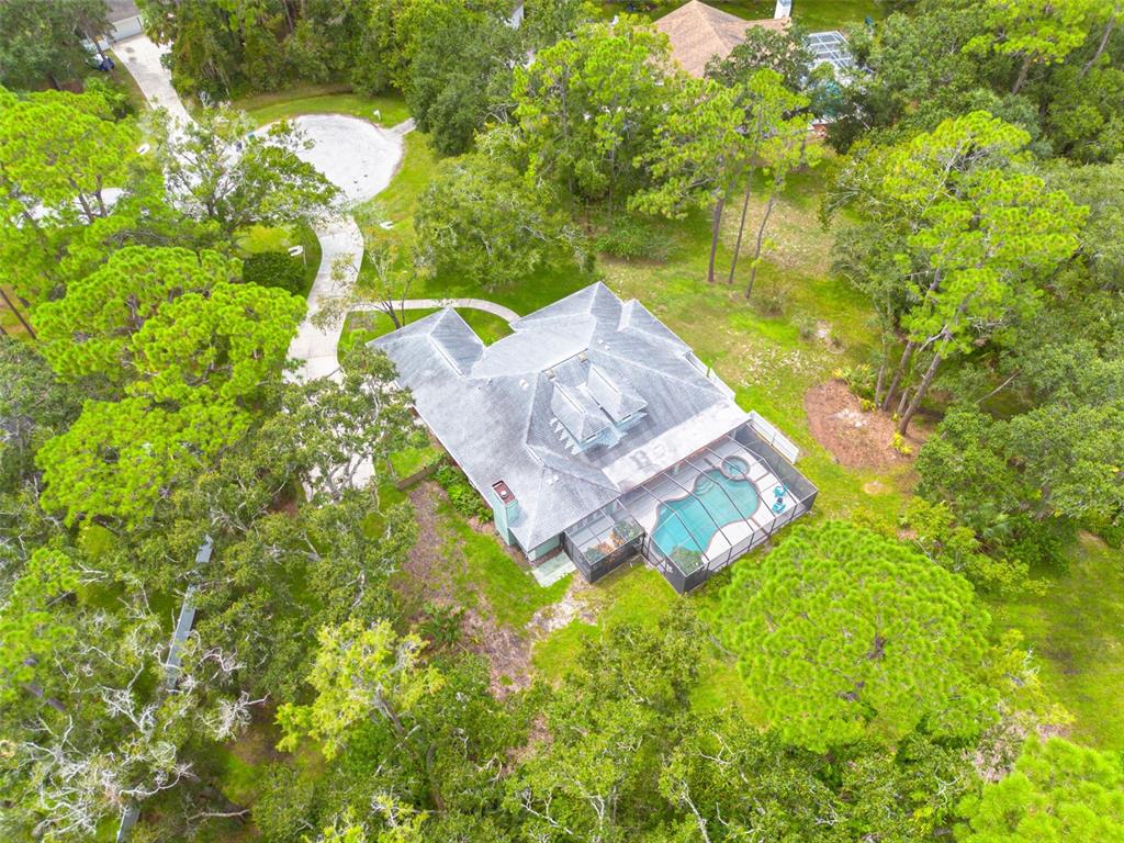 Tampa, Florida, 33626, United States, 5 Bedrooms Bedrooms, ,3 BathroomsBathrooms,Residential,For Sale,1941740