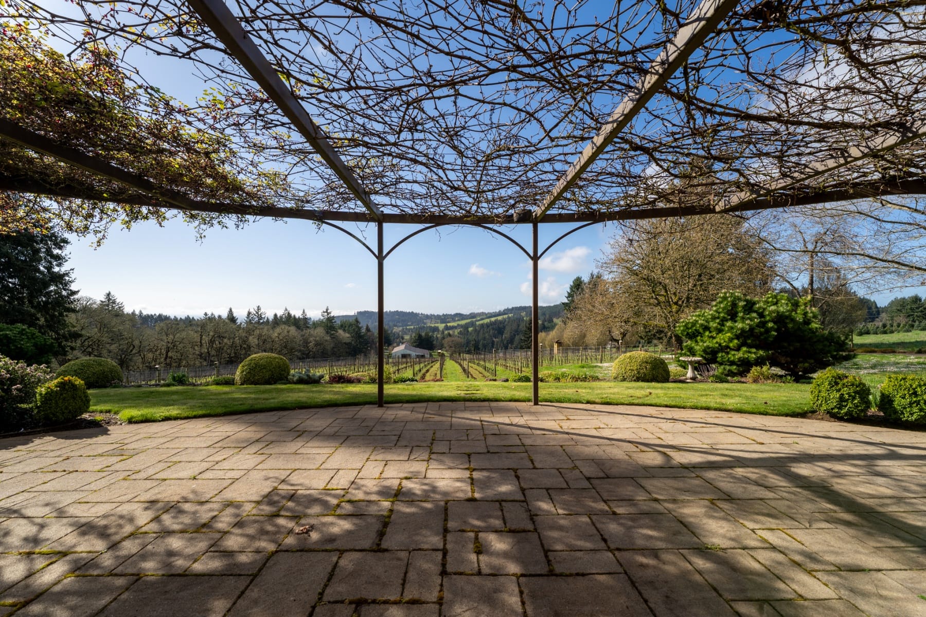  17001 NE FAIRVIEW DR Dundee, OR 97115 - 物件實景