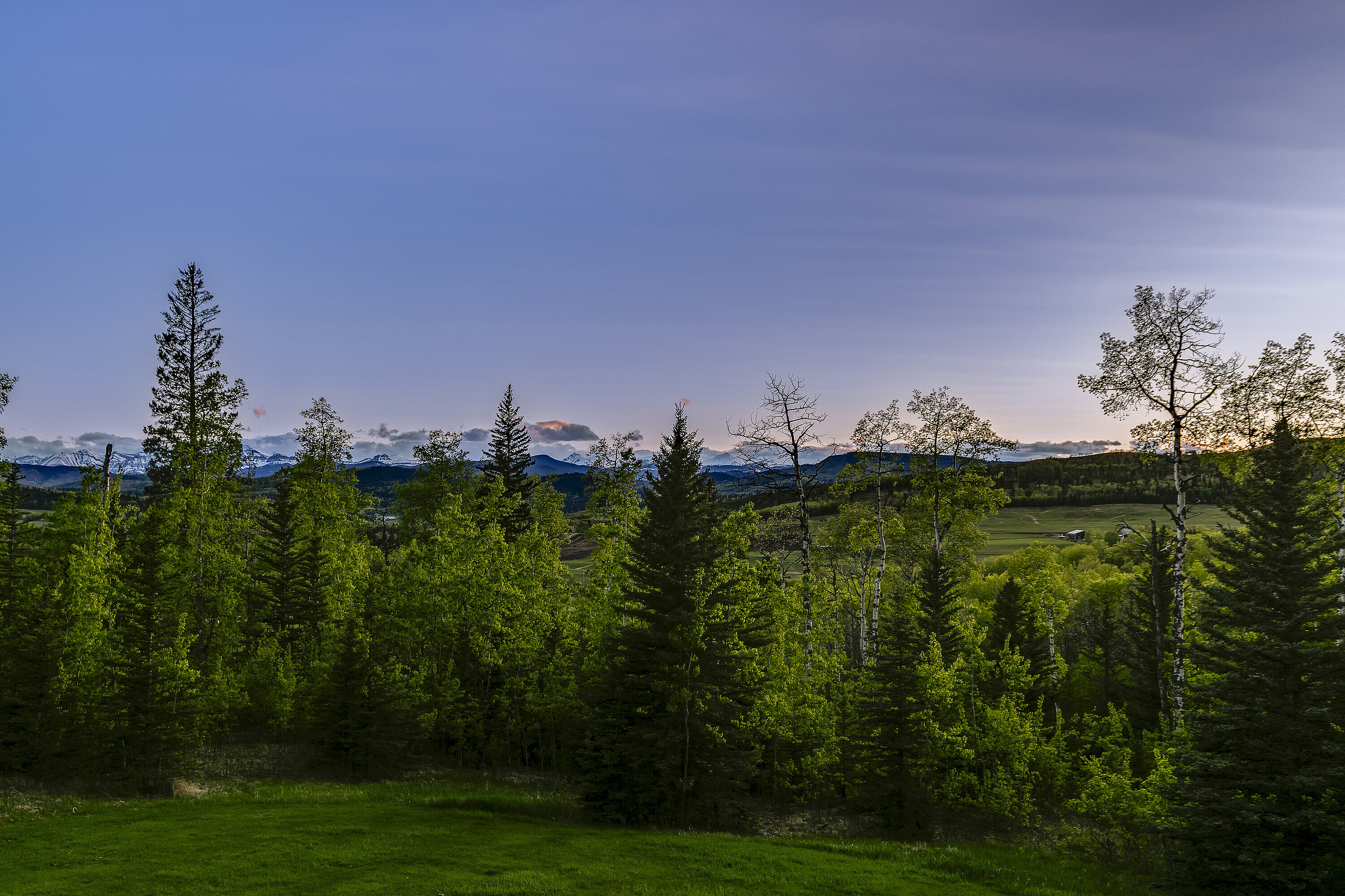 Rural Foothills County, Calgary and Foothills - 物件實景