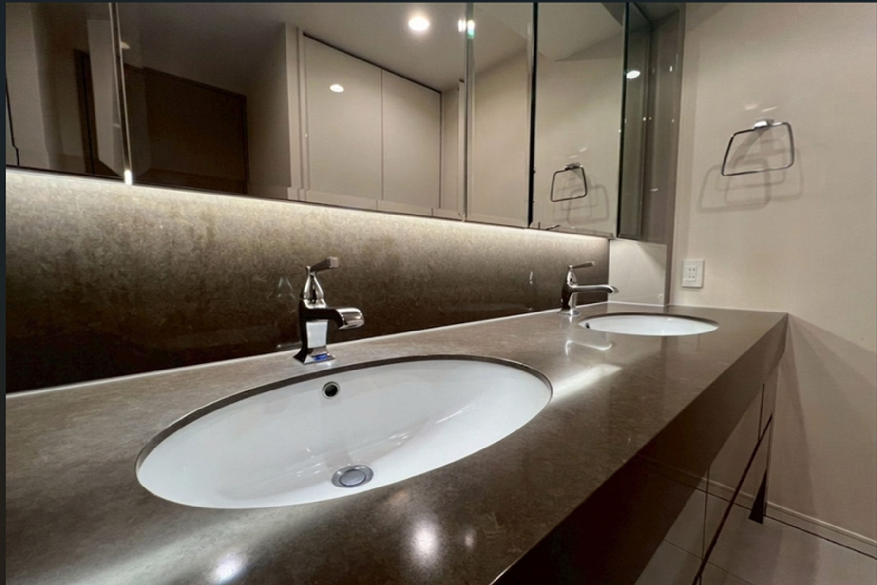  THE PARK HOUSE GRAN MINAMI-AOYAMA - 物件實景