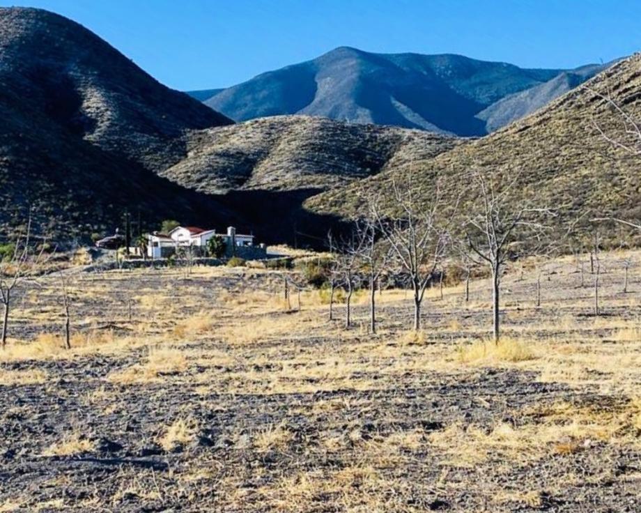 Parras, Coahuila de Zaragoza, 27986, Mexico, 1 Bedroom Bedrooms, ,Residential,For Sale,1699618
