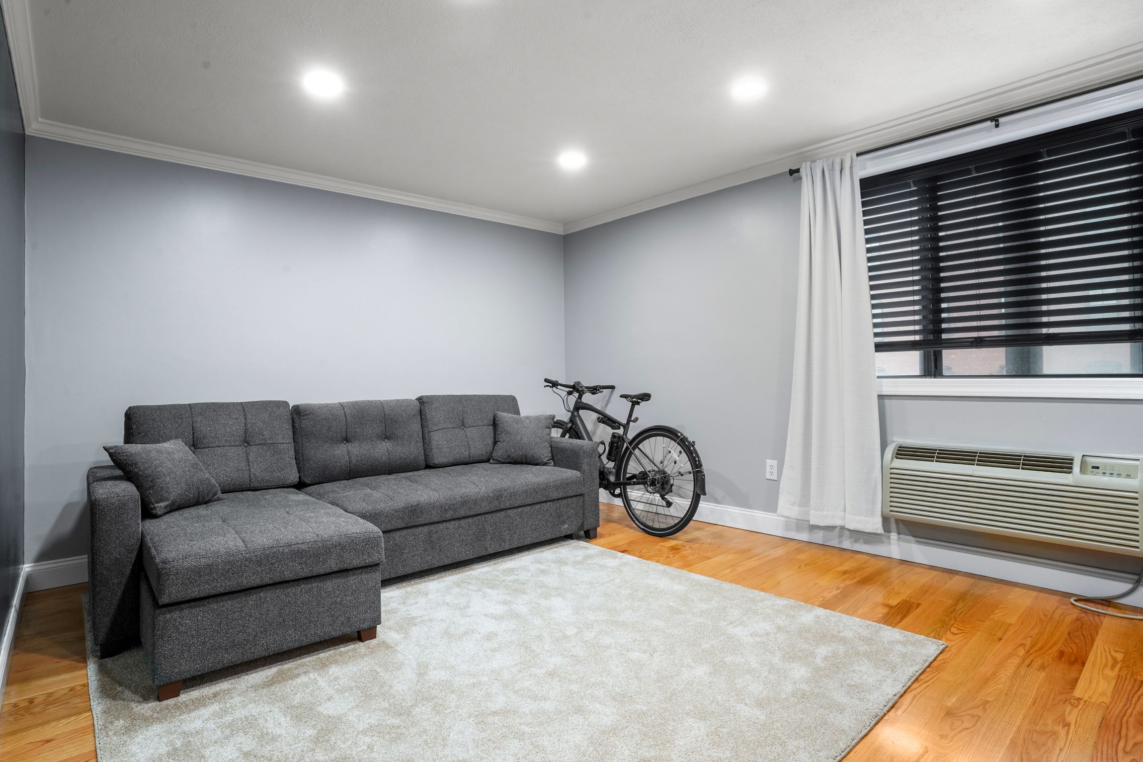  9 Appleton Street, Boston, MA, 02118 - 物件實景