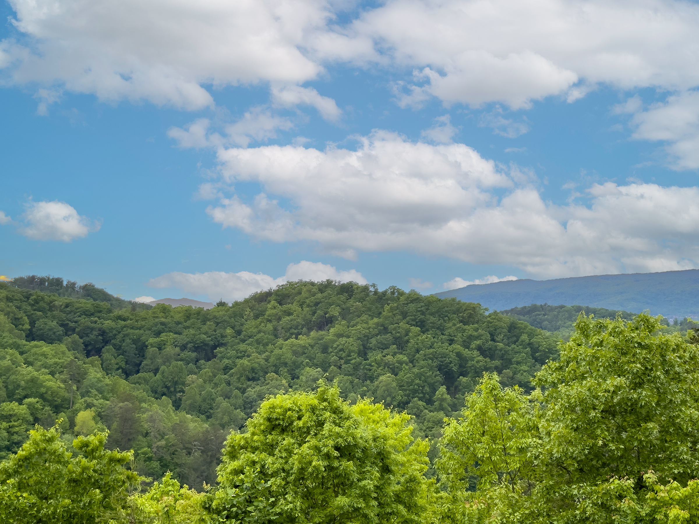 Sevierville, Tennessee, 37862, United States, 6 Bedrooms Bedrooms, ,7 BathroomsBathrooms,Residential,For Sale,1798299