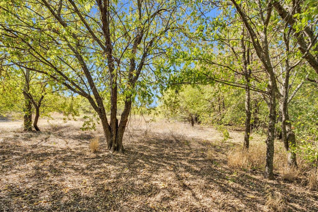 Crowley, Texas, 76036, United States, ,Land,For Sale,1973668