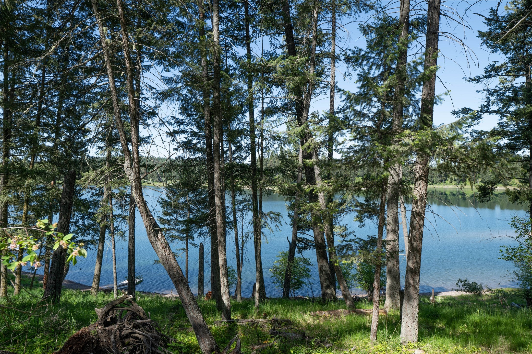 Bigfork, Montana, 59911, United States, ,Land,For Sale,1866727