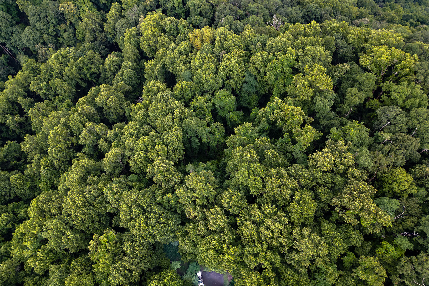  THE ORCHARDS OF MAYVIEW - BLOWING ROCK - 物件實景