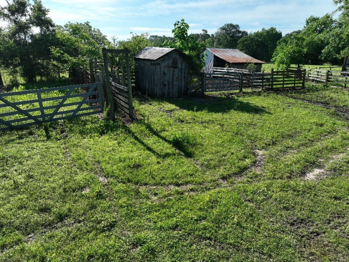Cla, Texas, 75550, United States, 3 Bedrooms Bedrooms, ,3 BathroomsBathrooms,Residential,For Sale,1879365