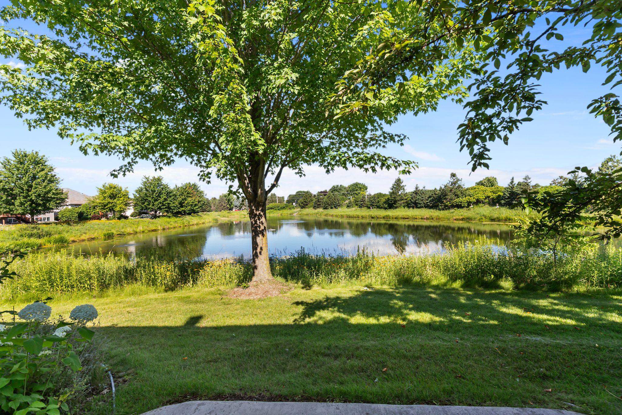 Appleton, Wisconsin, 54913, United States, 3 Bedrooms Bedrooms, ,3 BathroomsBathrooms,Residential,For Sale,1937217