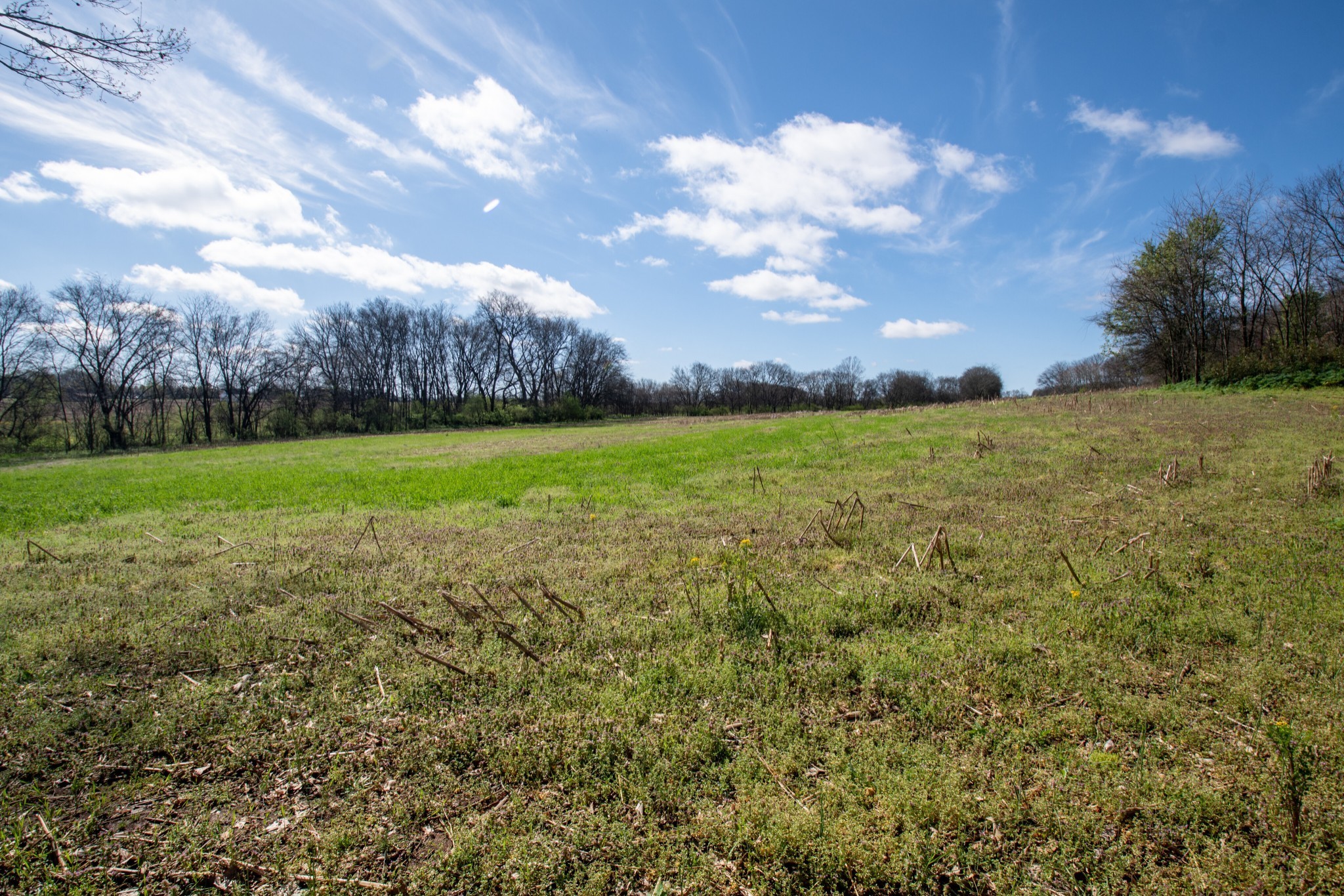  0 South Cross Bridges Road, Mount Pleasant, TN, 38474 - 物件實景