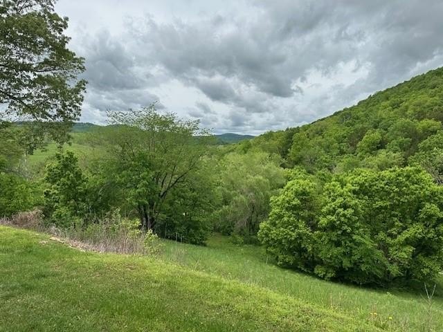 Green Forest, Arkansas, 72638, United States, 2 Bedrooms Bedrooms, ,2 BathroomsBathrooms,Residential,For Sale,1921534