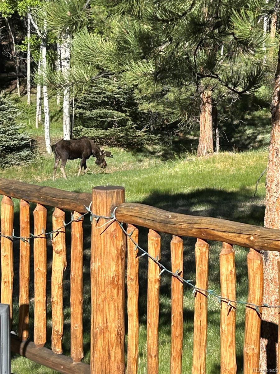 Buena Vista, Colorado, 81211, United States, 6 Bedrooms Bedrooms, ,5 BathroomsBathrooms,Residential,For Sale,1977574