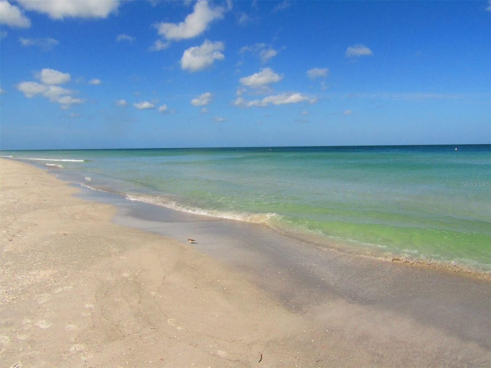 CLEARWATER BEACH, Florida, 33767, United States, 2 Bedrooms Bedrooms, ,2 BathroomsBathrooms,Residential,For Sale,1976366