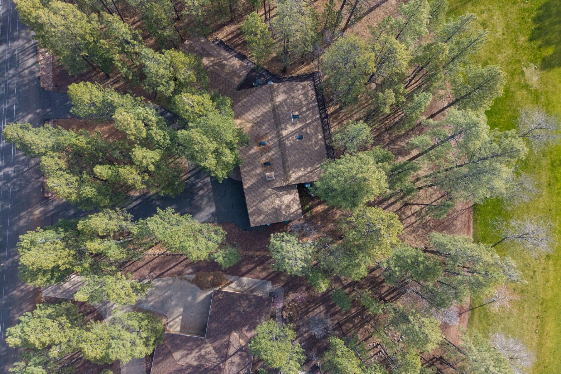  7139 Buck Springs Road  Pinetop, AZ - 物件實景