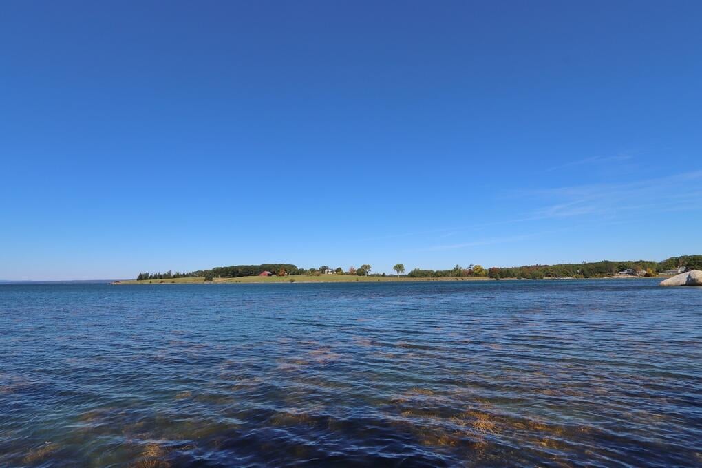 Back Shore Rd, Castine, ME 04421 #1