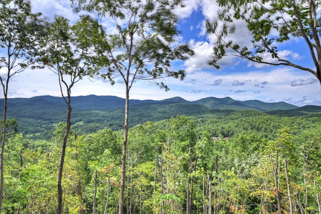 Mineral Bluff, Georgia, 30559, United States, 4 Bedrooms Bedrooms, ,4 BathroomsBathrooms,Residential,For Sale,1871299