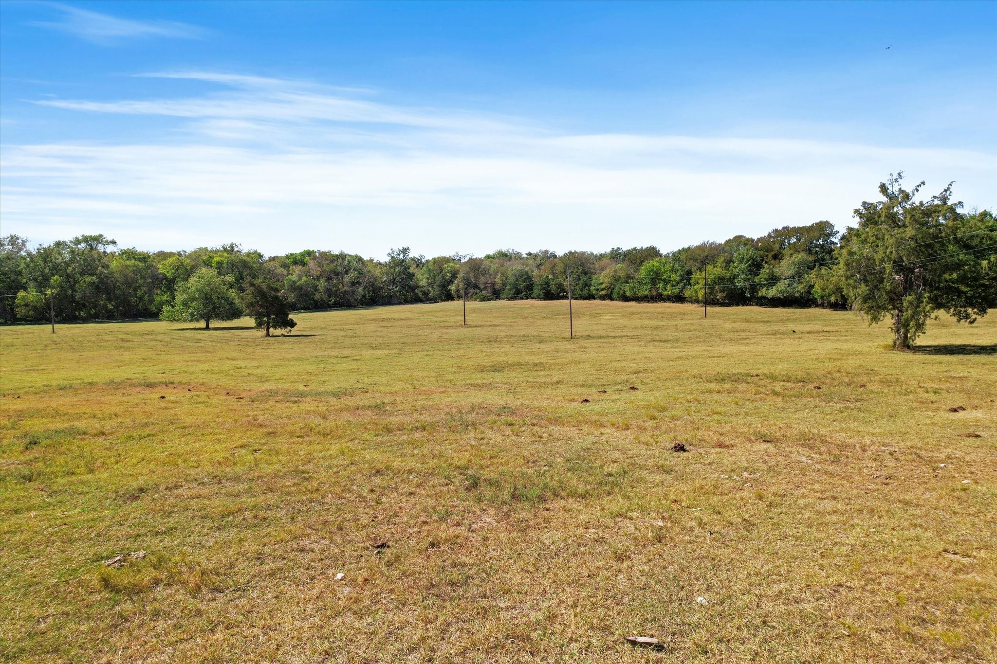 Whitewright, Texas, 75491, United States, ,Land,For Sale,1968944