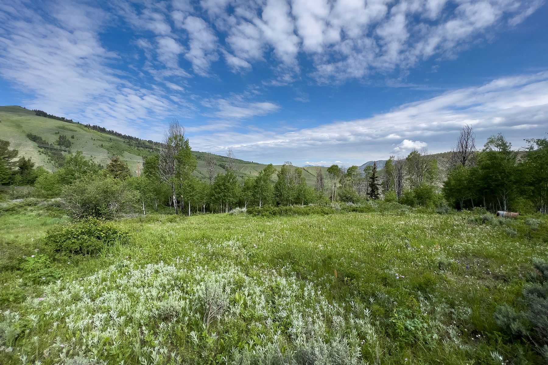  Rodeo Road - 物件實景