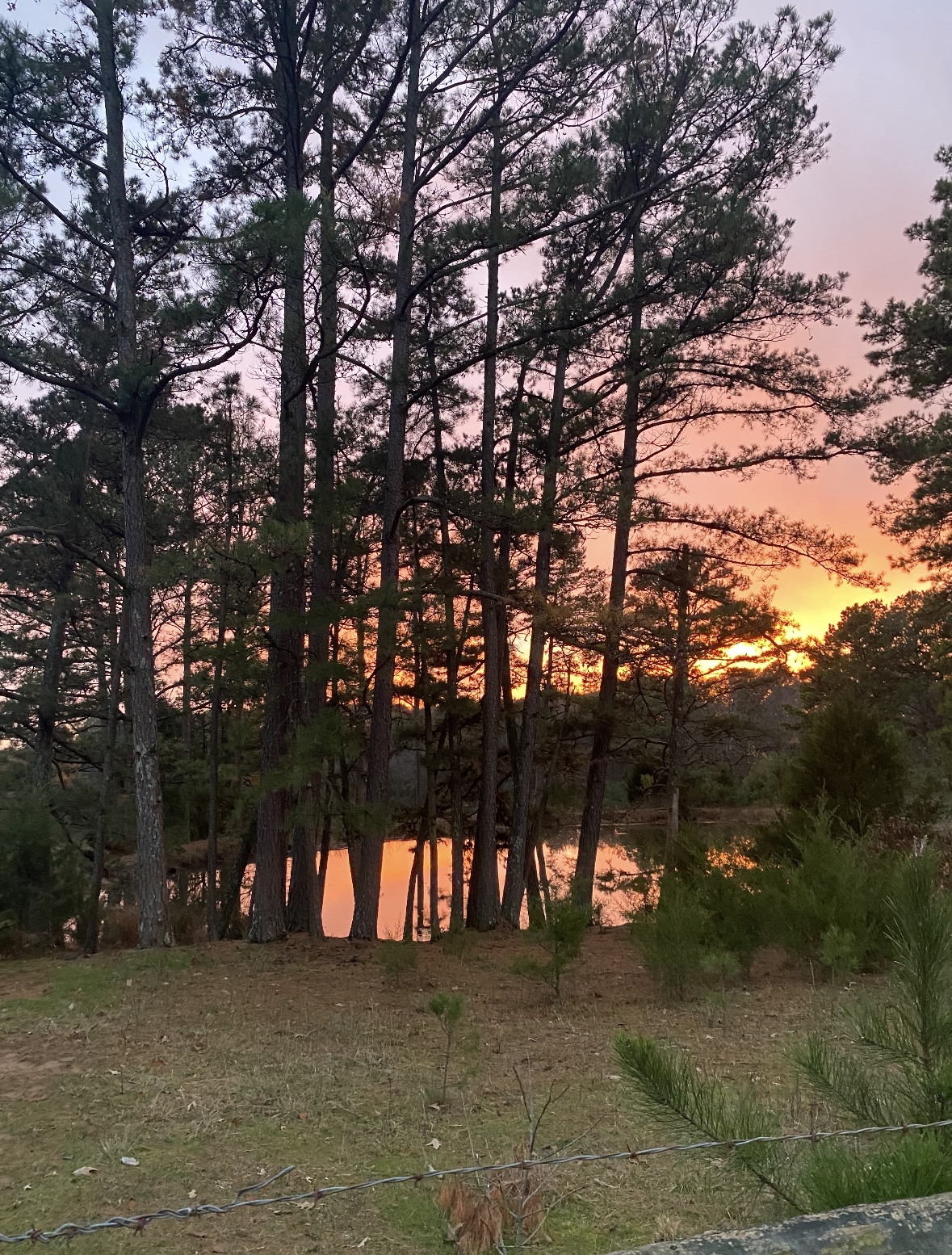 Clarksville, Arkansas, 72830, United States, 7 Bedrooms Bedrooms, ,3 BathroomsBathrooms,Residential,For Sale,2005713