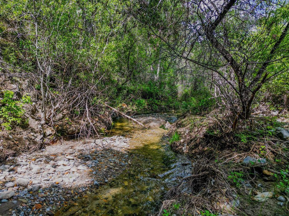 Greenfield, California, 93927, United States, ,Residential,For Sale,1943227