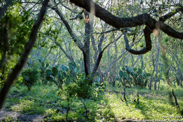 Beeville, Texas, 78102, United States, ,Land,For Sale,1942121