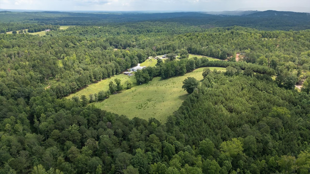 Heflin, Alabama, 36264, United States, ,Land,For Sale,1981342