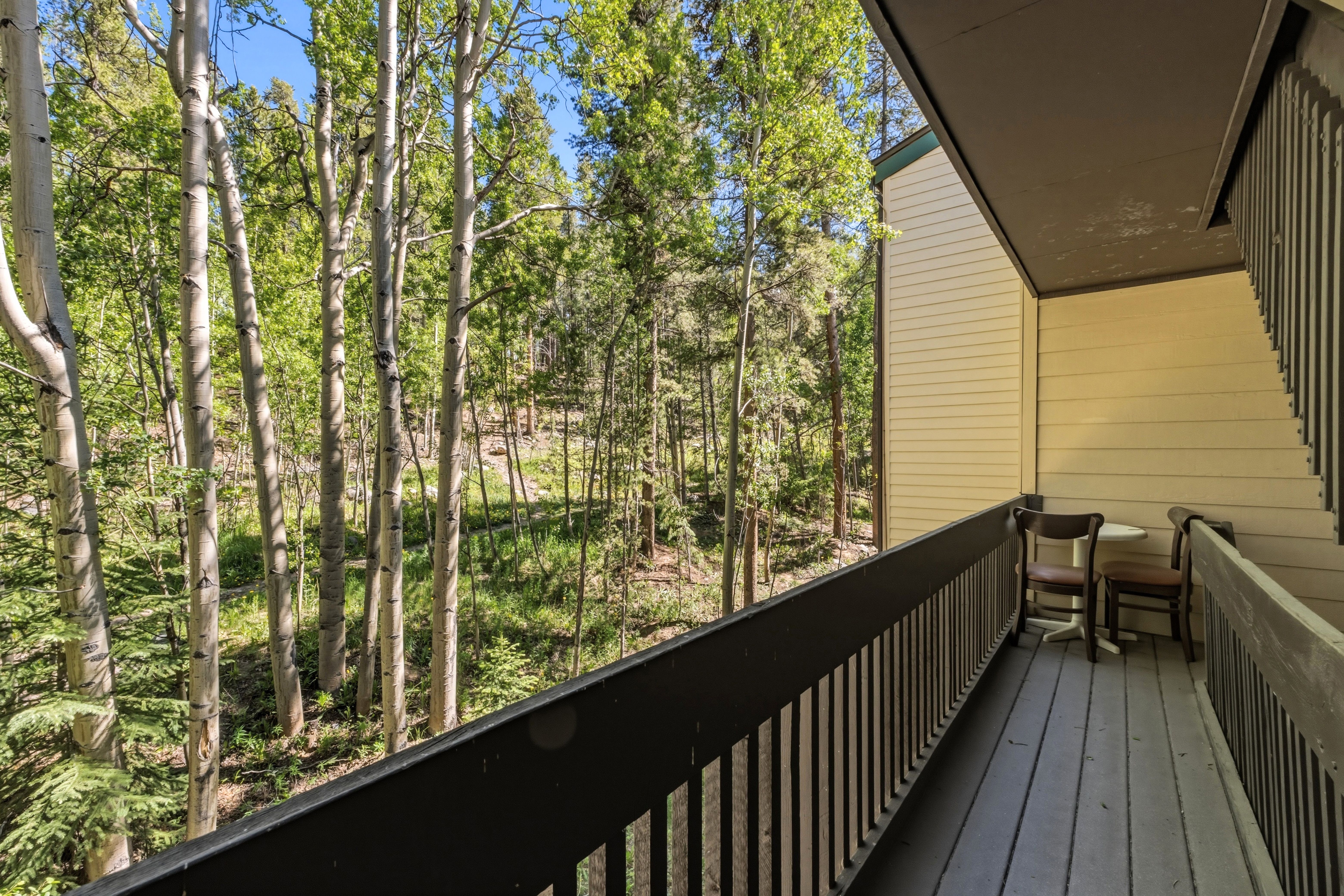  Private Deck With Views of Breckenridge Ski Resort - 物件實景