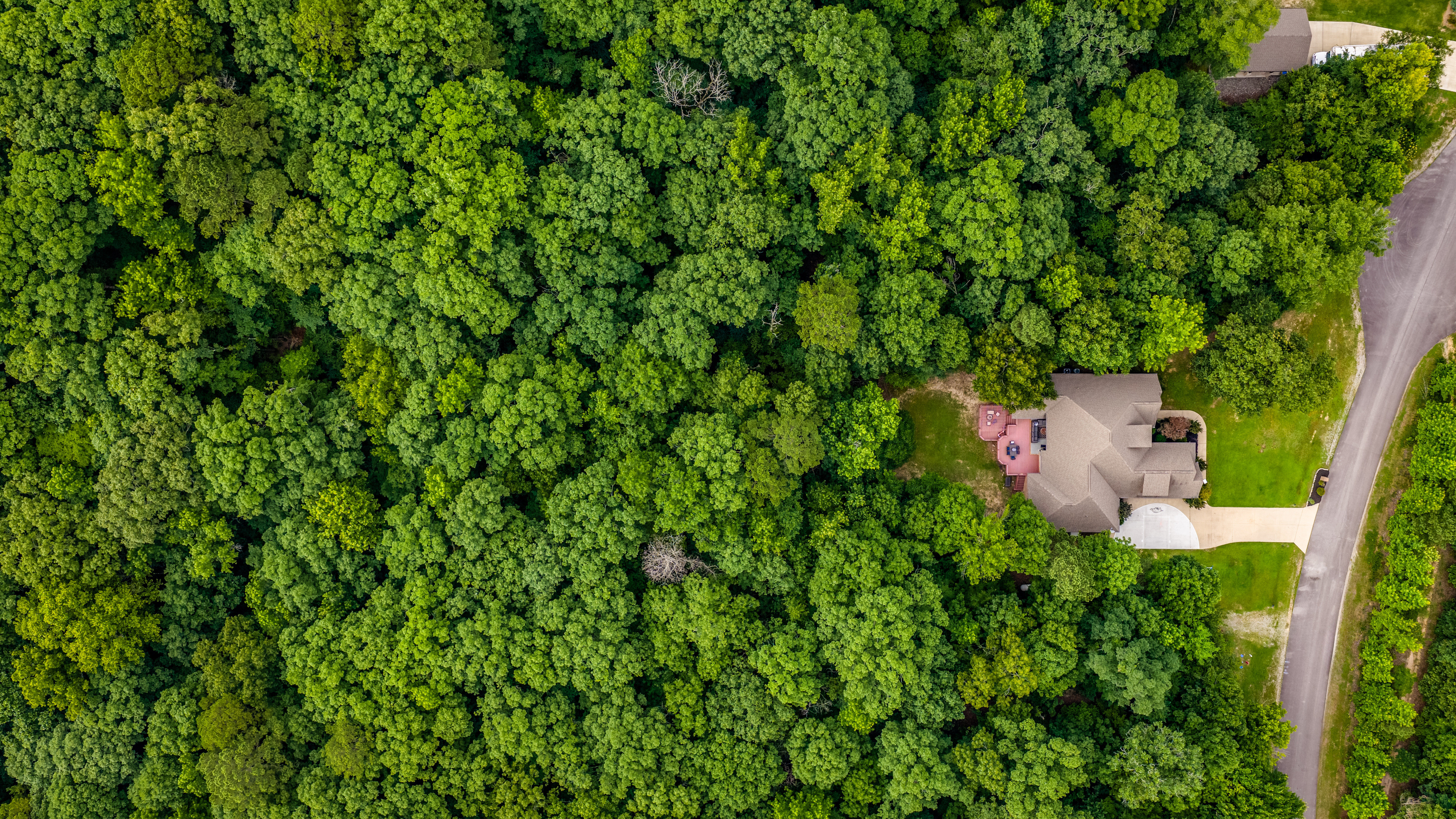  1172 Rocky Mountain, Benton, AR, 72019 - 物件實景