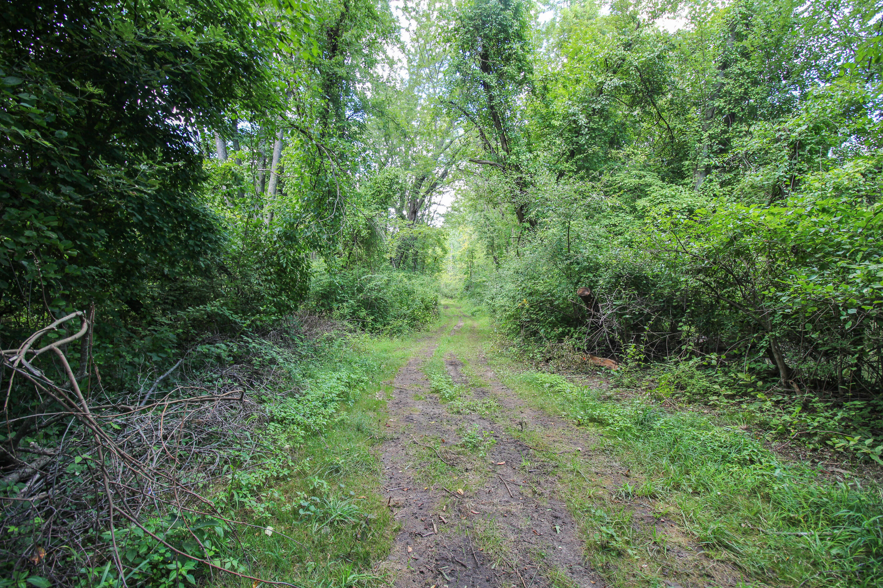 Three Rivers, Michigan, 49093, United States, 4 Bedrooms Bedrooms, ,1 BathroomBathrooms,Residential,For Sale,2006073