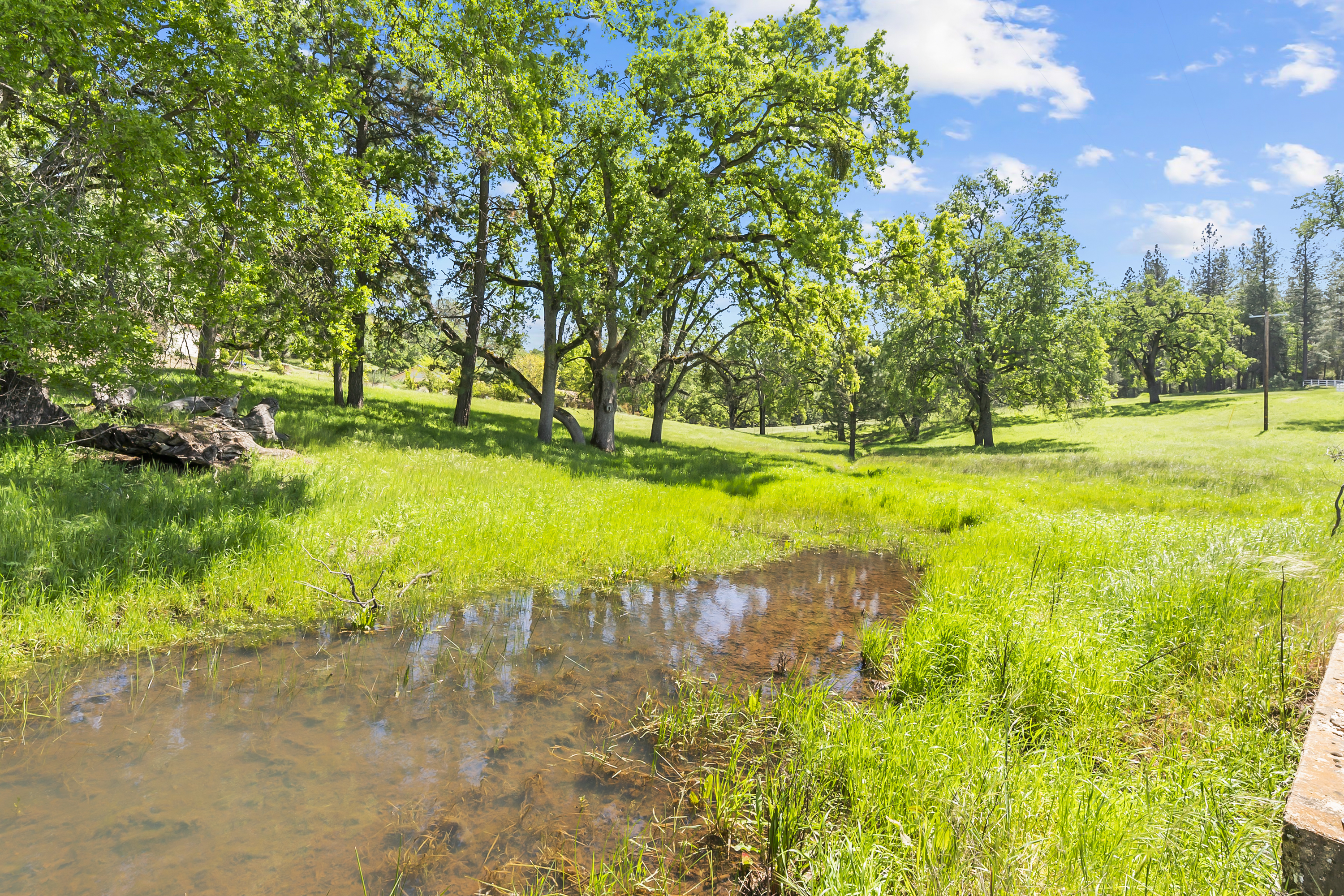  21 Acres - Gated - Renovated - 物件實景