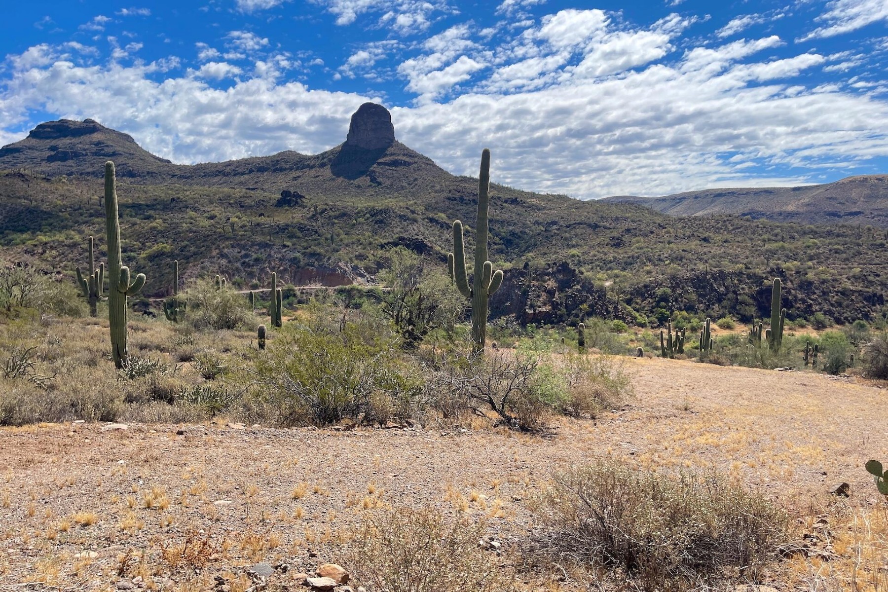  31900 S Tillys Trail¦Black Canyon City, AZ - 物件實景