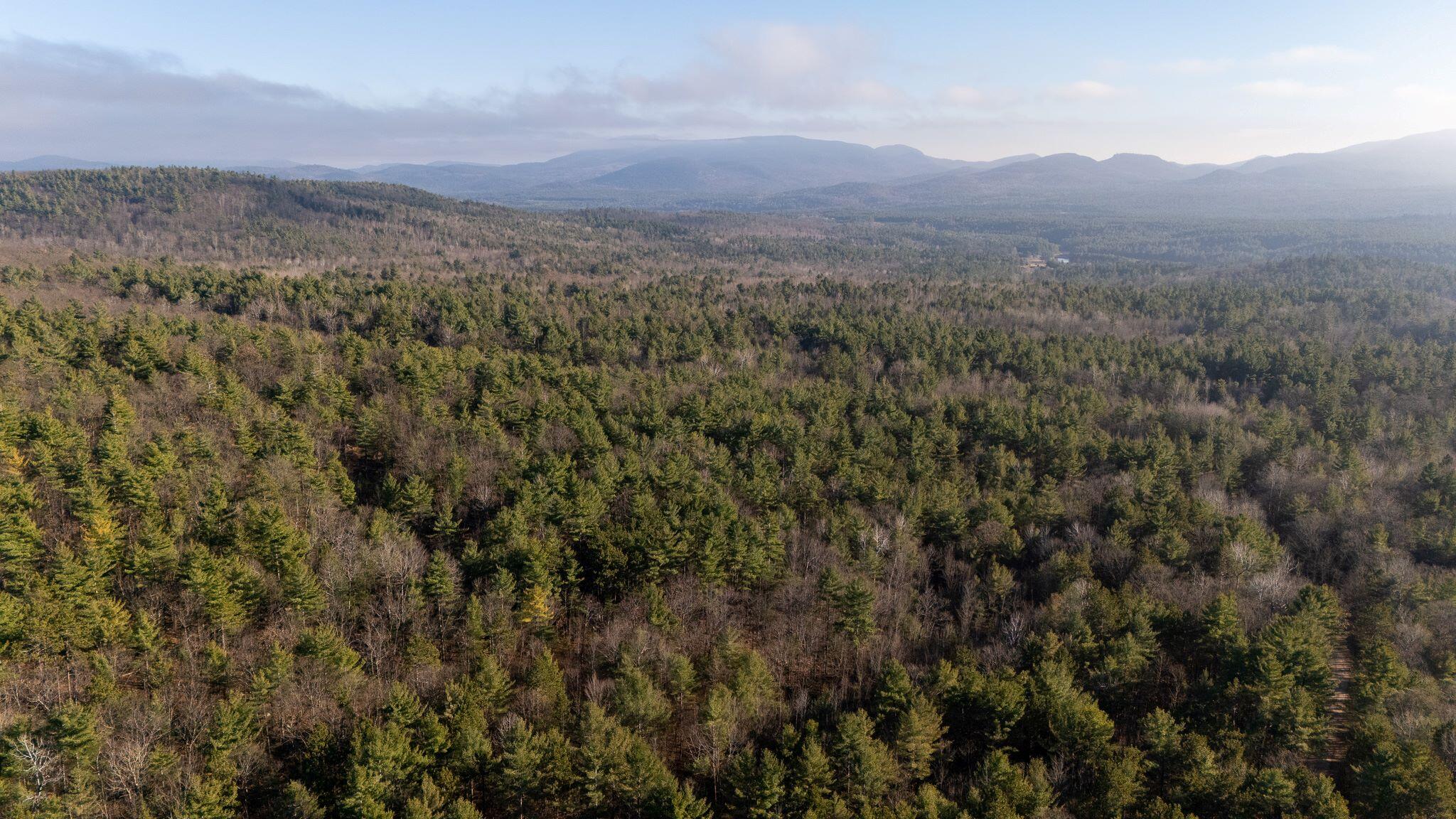 358 Buck Hill Road, Black Brook, New York, 12912, United States, ,Land,For Sale,358 Buck Hill Road,1668250