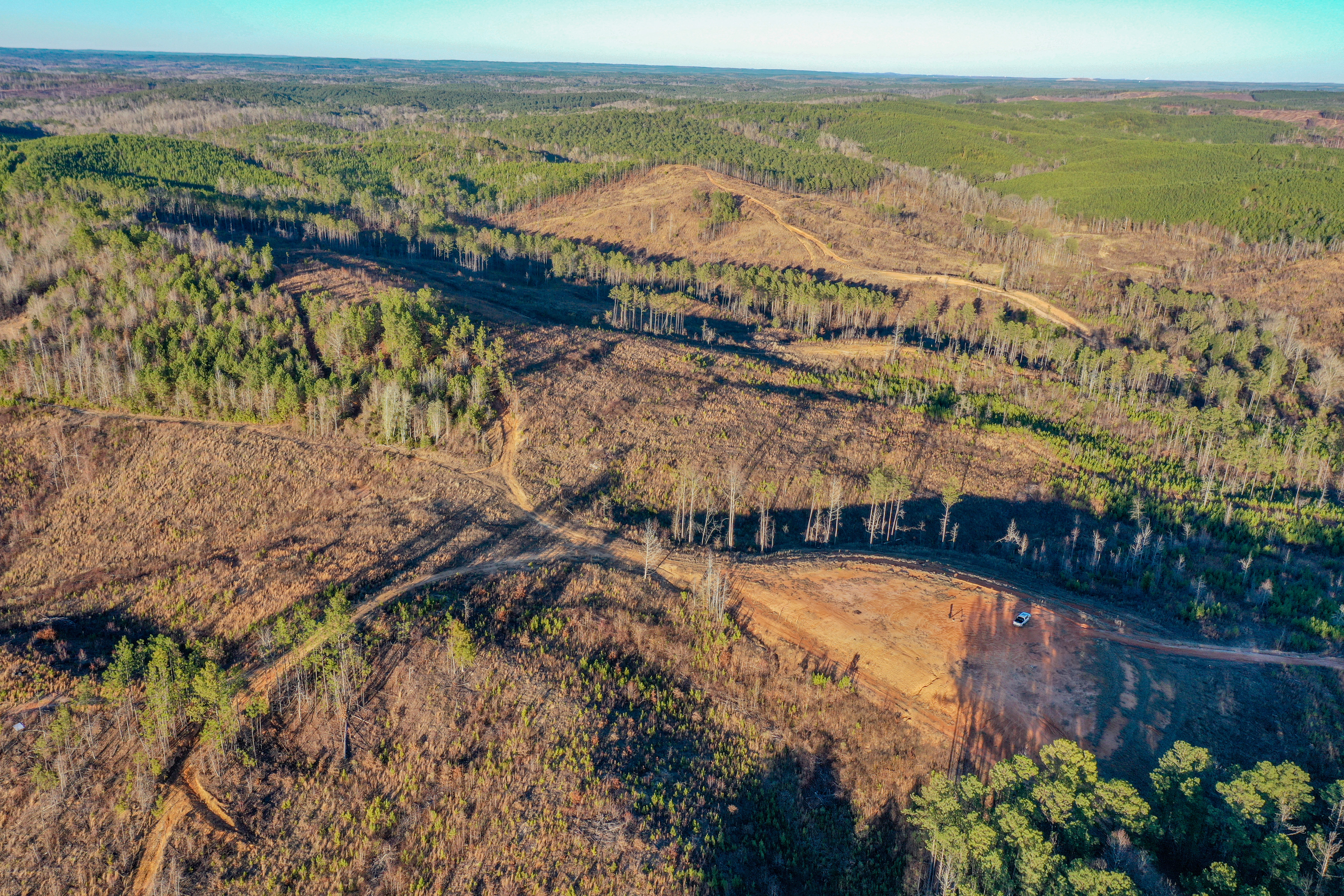 Centreville, Alabama, 35042, United States, ,Land,For Sale,2010430