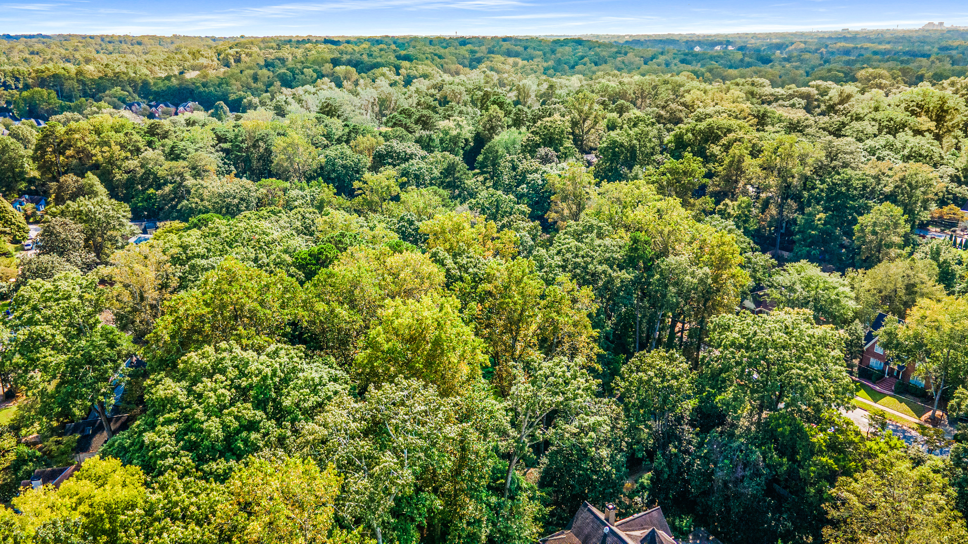 Three Contiguous Lots for New Construction in Historic Druid Hills - 物件實景