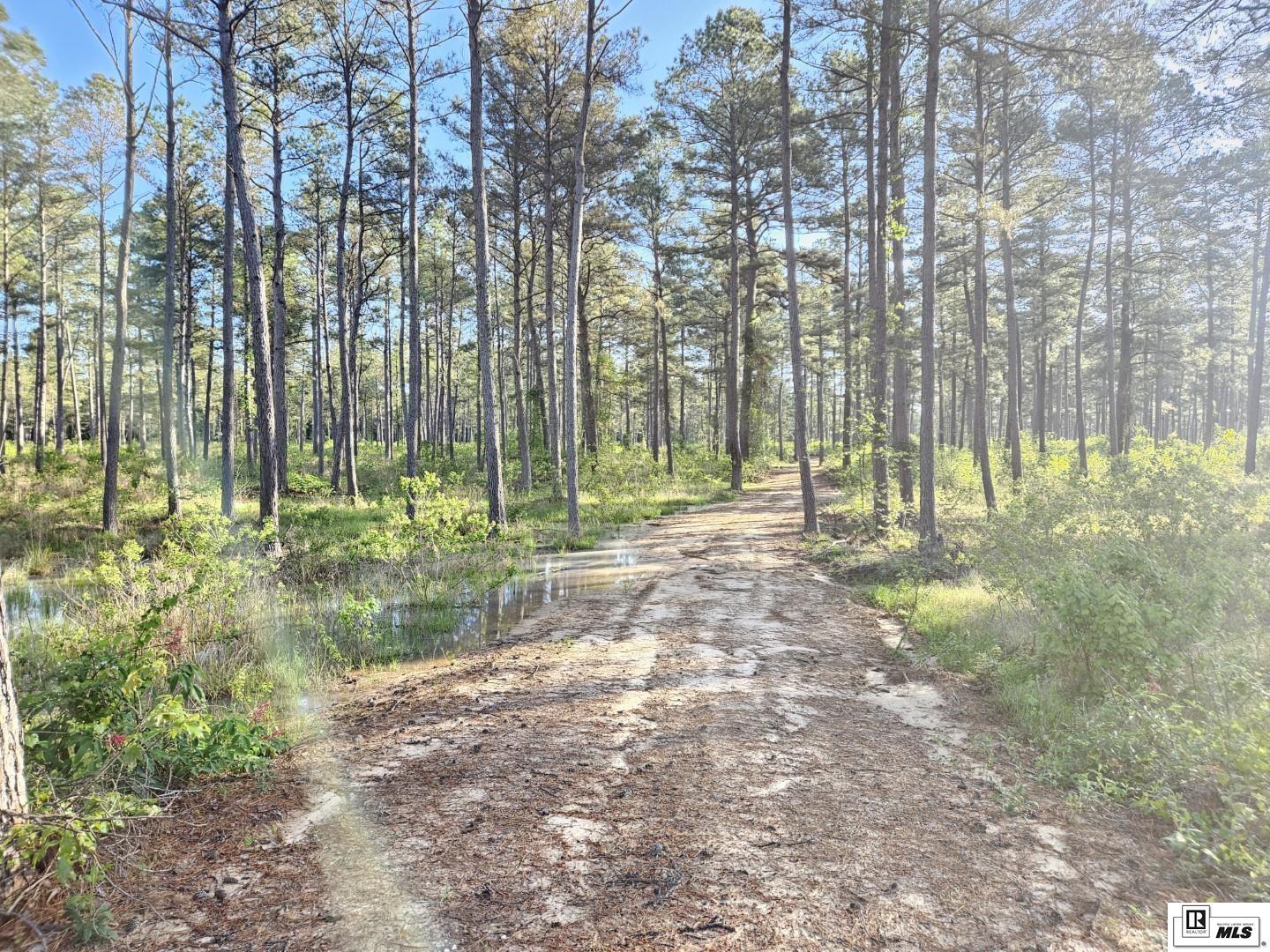 00 HIGHWAY 143, West Monroe, Louisiana, 71291, United States, ,Land,For Sale,00 HIGHWAY 143,1620835