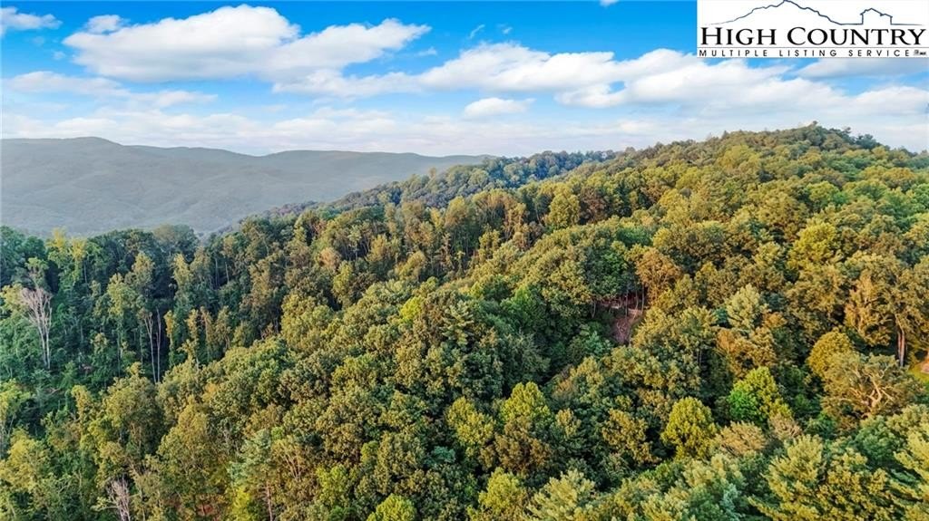 Ferguson, North Carolina, 28624, United States, 3 Bedrooms Bedrooms, ,2 BathroomsBathrooms,Residential,For Sale,1984424