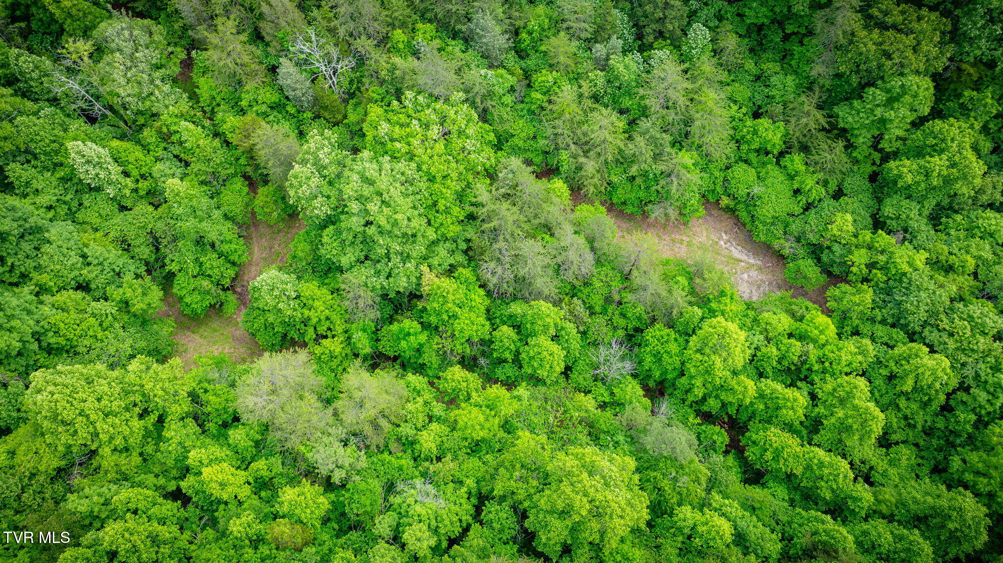 Kingsport, Tennessee, 37660, United States, 1 Bedroom Bedrooms, ,1 BathroomBathrooms,Residential,For Sale,1973991