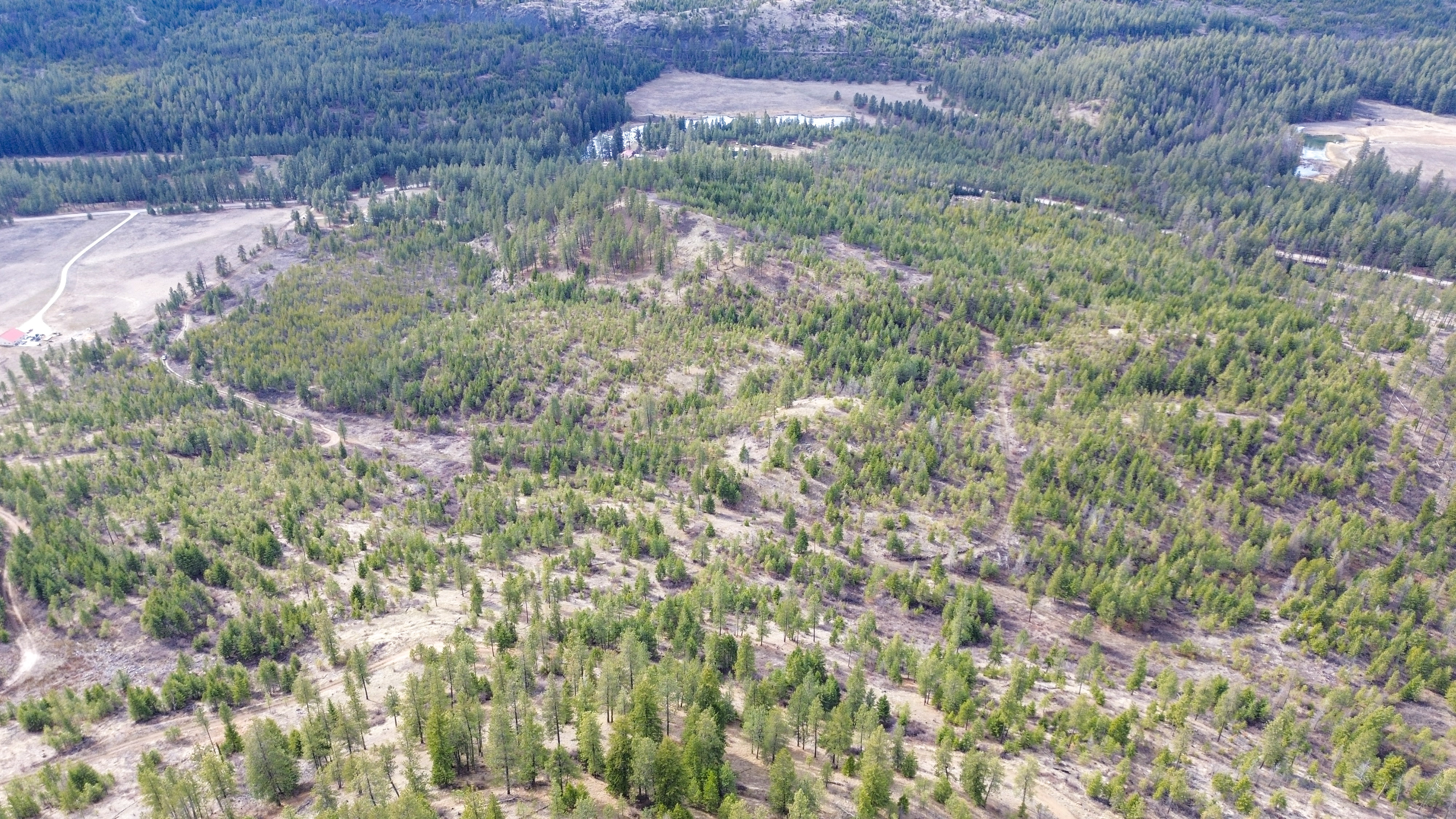 Valley, Washington, 99181, United States, ,Land,For Sale,1979391