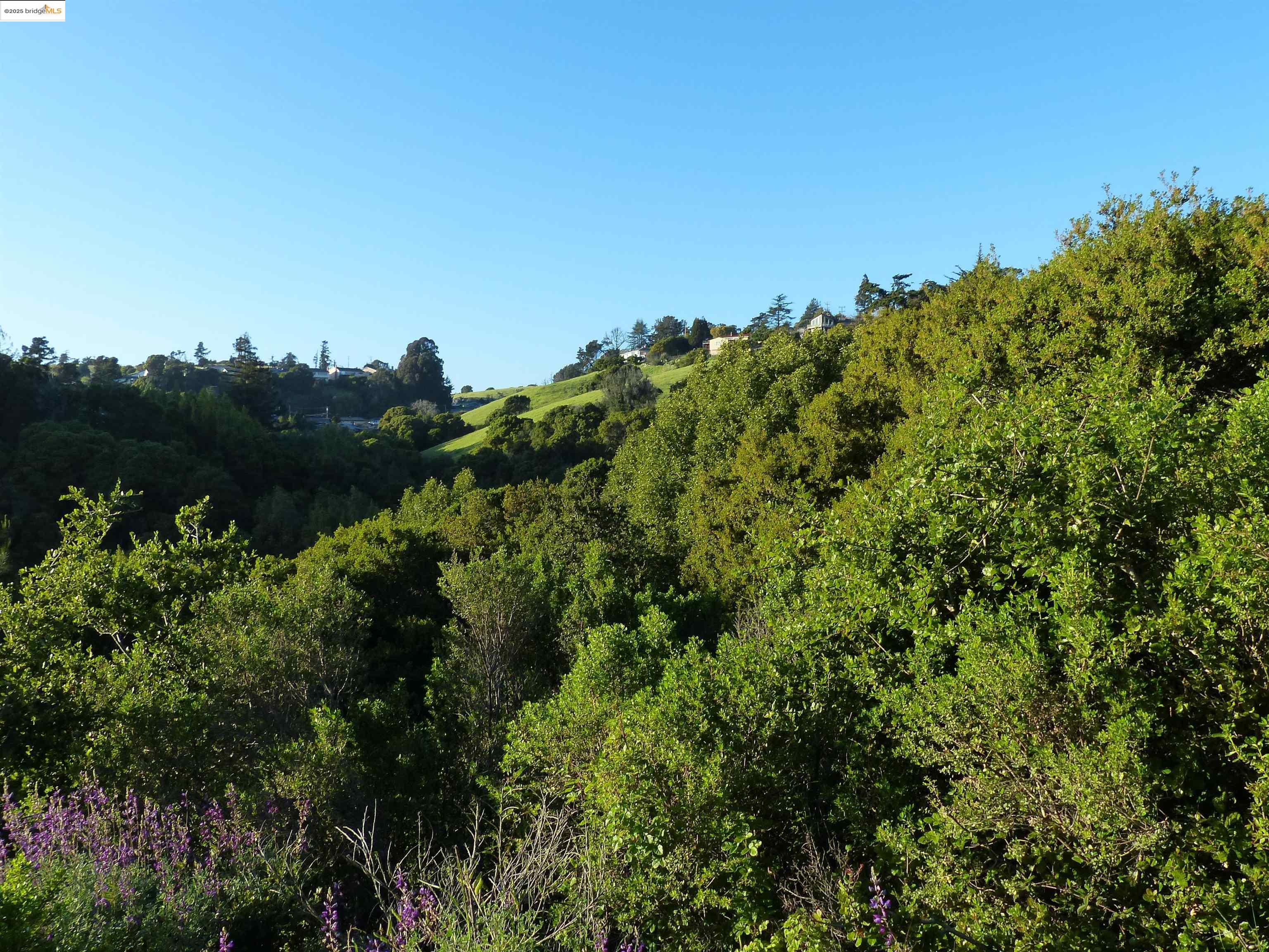 Oakland, California, 94605, United States, ,Land,For Sale,1958207