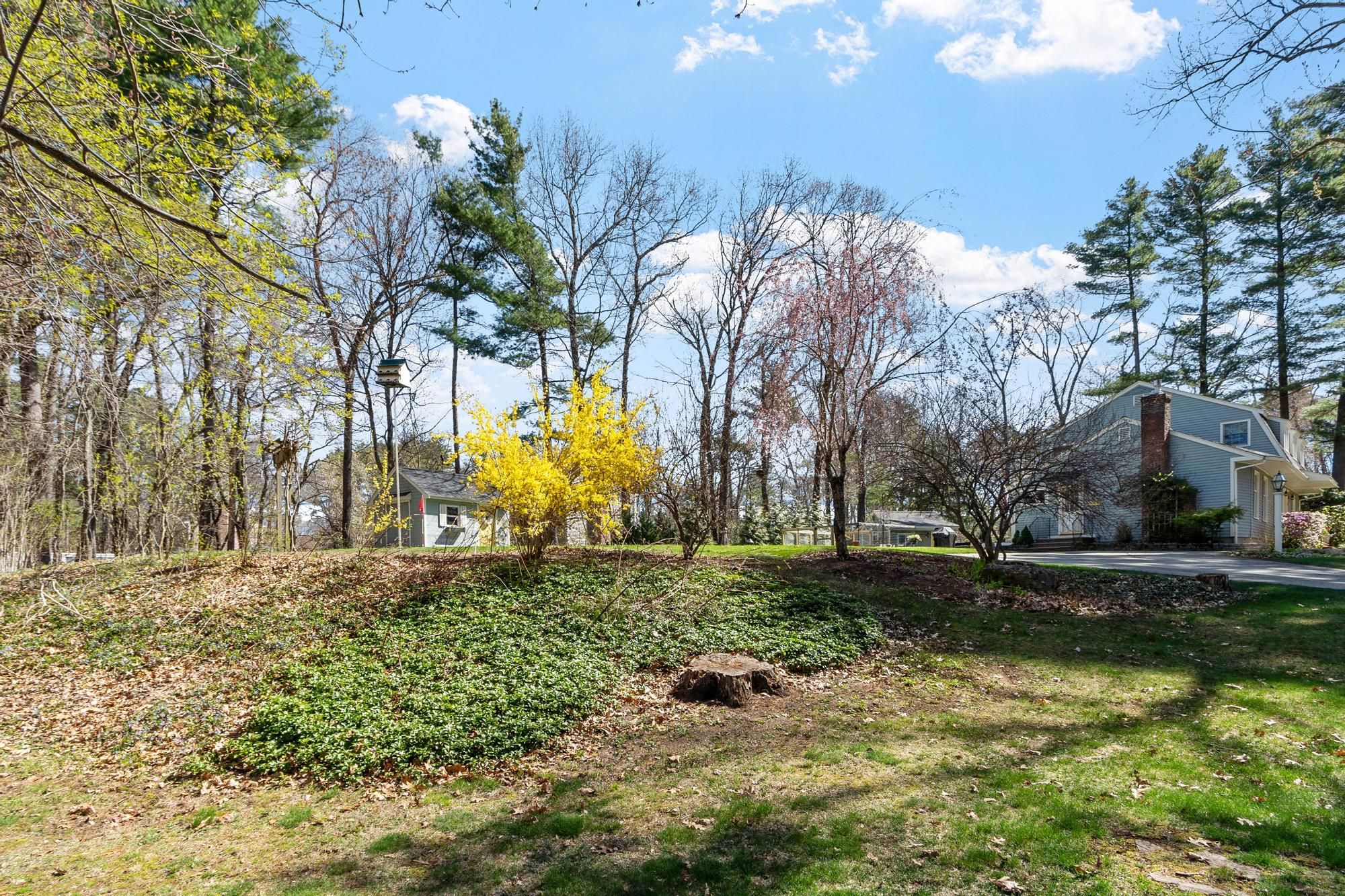  4 White Pine Drive, Georgetown, MA, 01833 - 物件實景