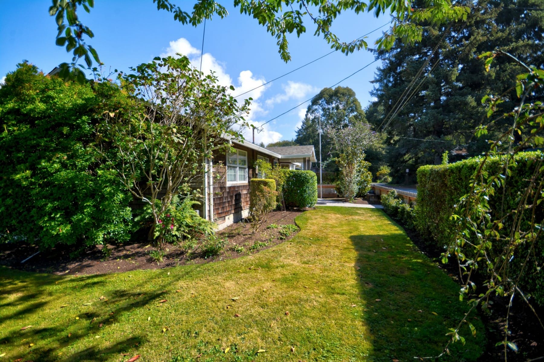  264 & 240 E Jackson Street Cannon Beach, OR 97110 - 物件實景