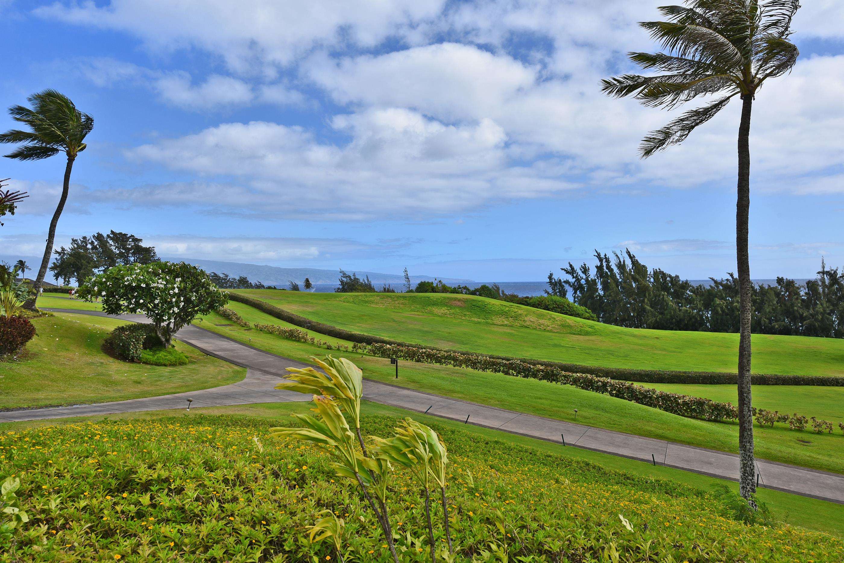 1 Ritz Carlton Dr, Lahaina, Hawaii, 96761, United States, 2 Bedrooms Bedrooms, ,2 BathroomsBathrooms,Residential,For Sale,1 Ritz Carlton Dr,1668217