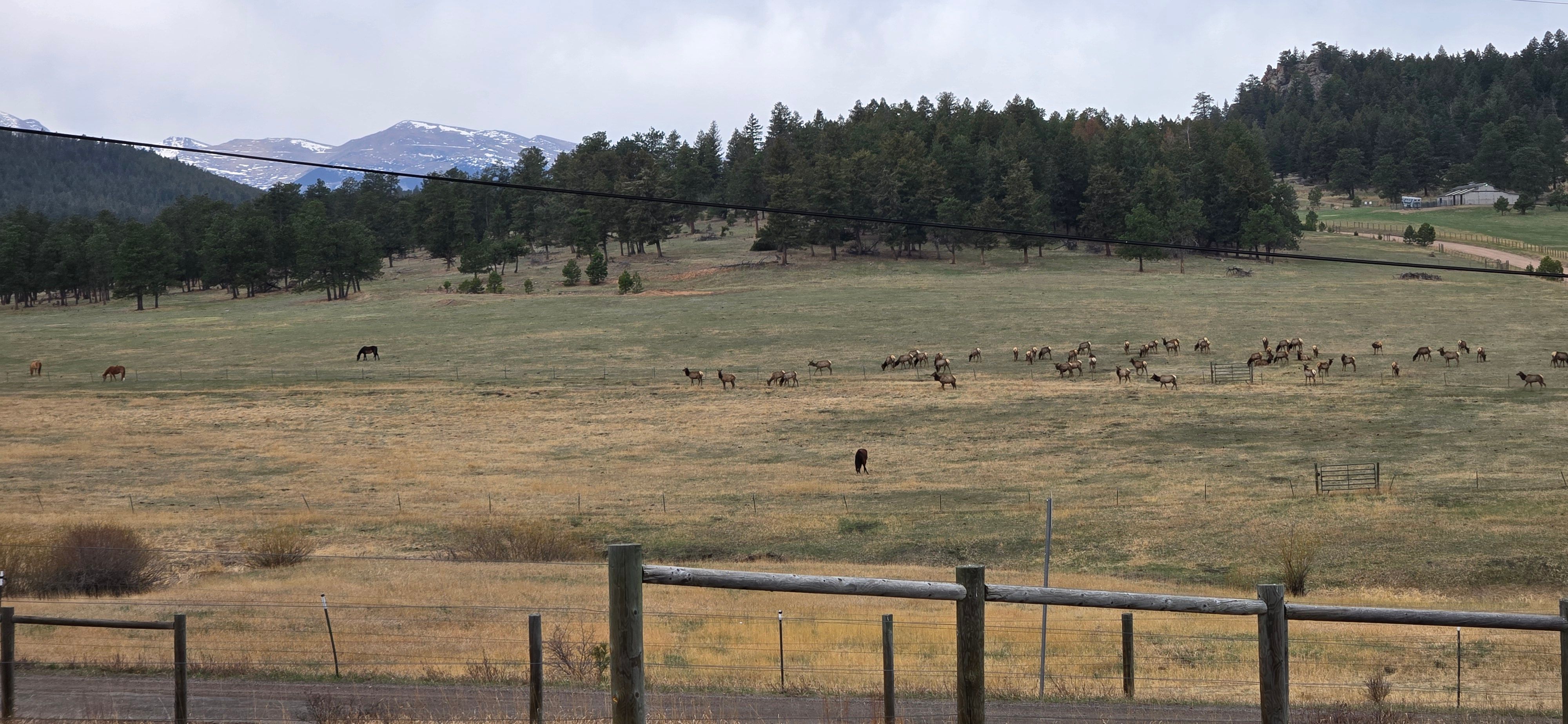  Freedom to Live Your Own Way - 物件實景