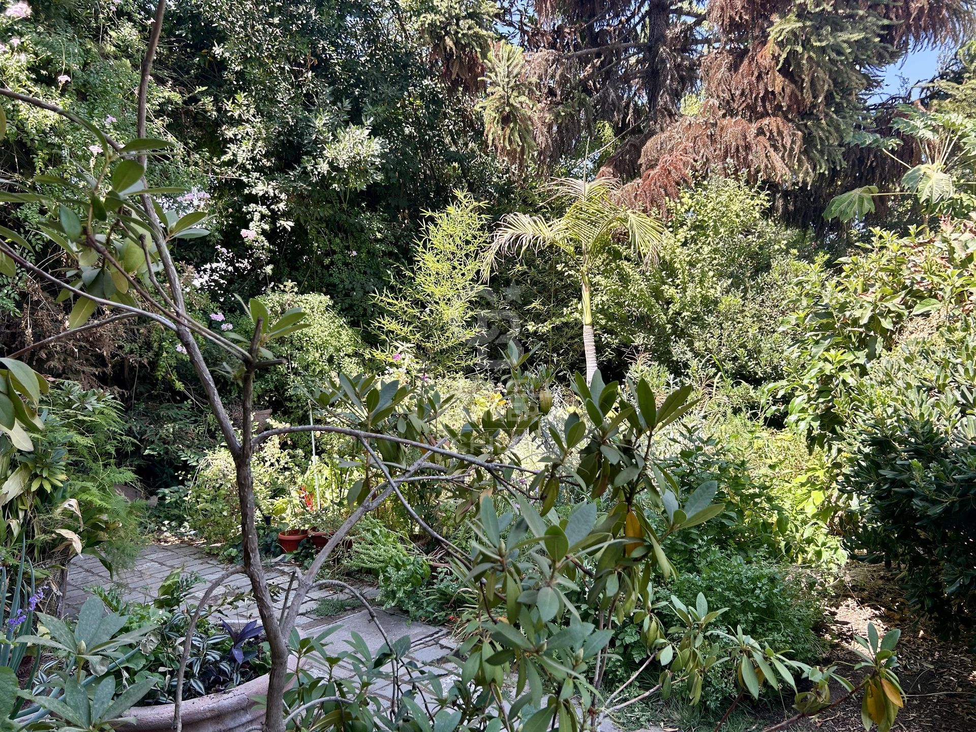 La Reina, Chile, 3 Bedrooms Bedrooms, ,2 BathroomsBathrooms,Residential,For Sale,1751616