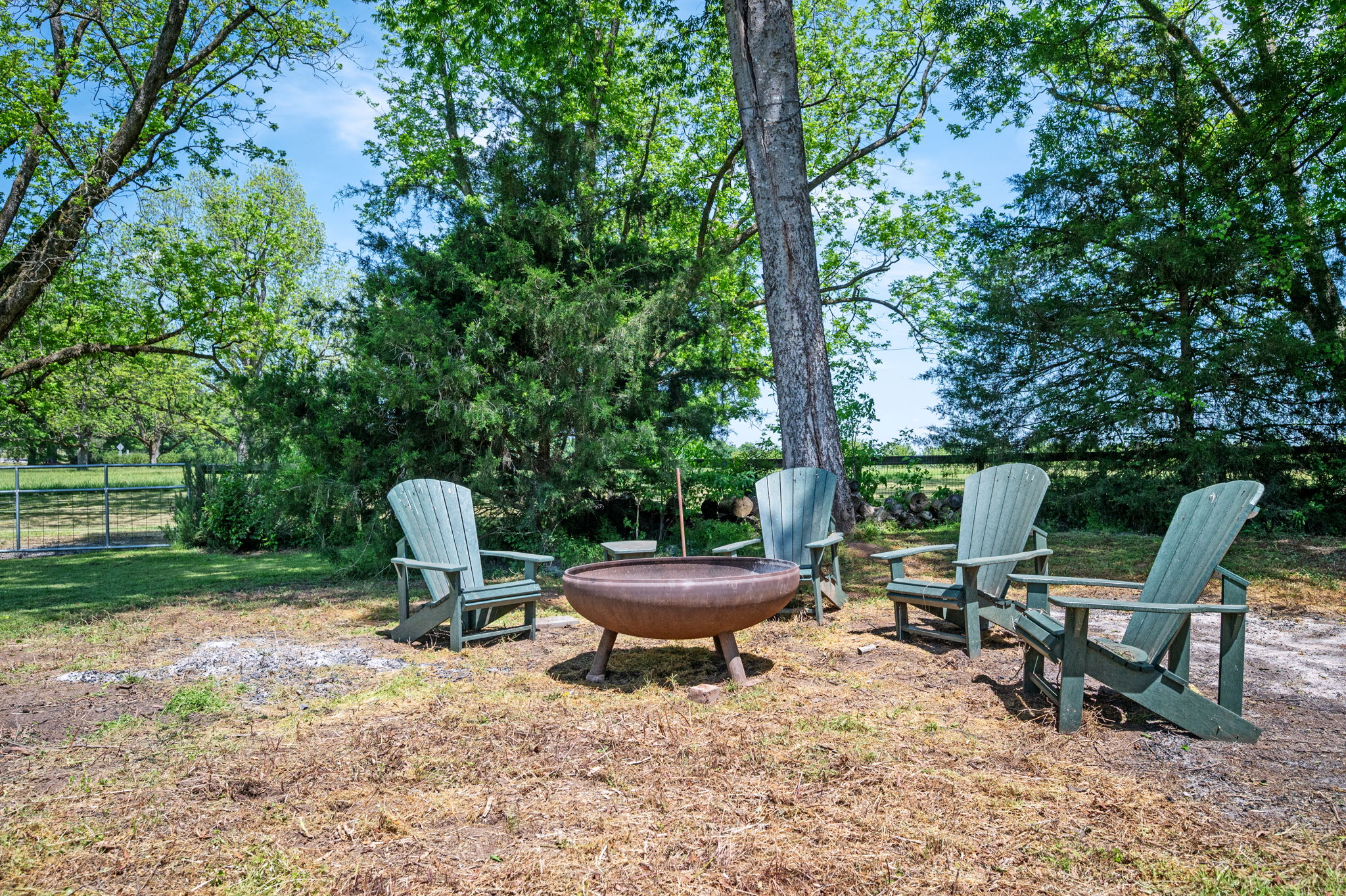  Southern Charm in Madison - 物件實景